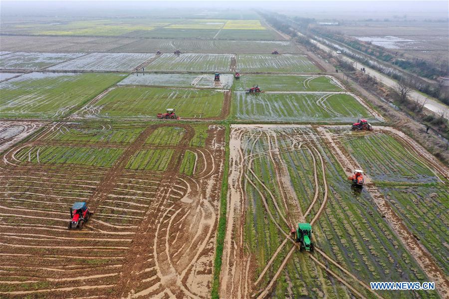 养鬼吃人8：地狱世界