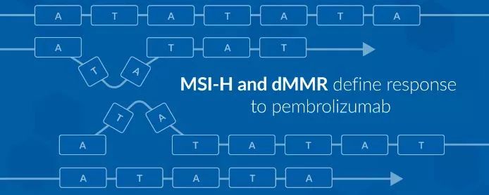 哮天神犬勇闯龙宫