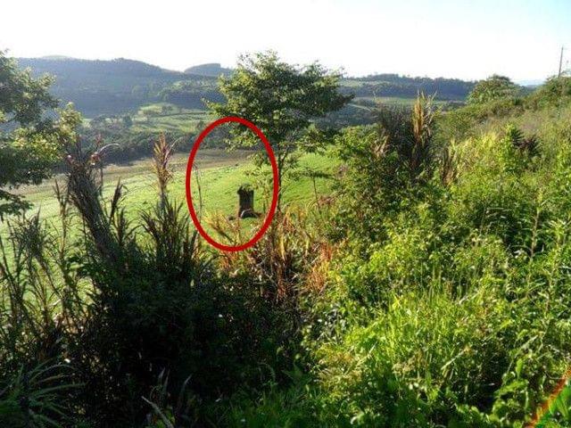 哮天神犬勇闯龙宫