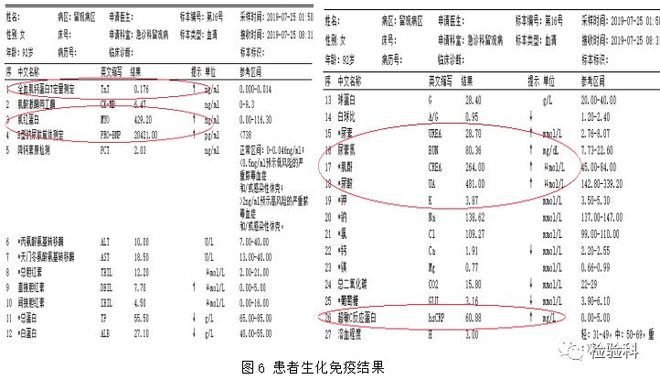 在前进的道路上