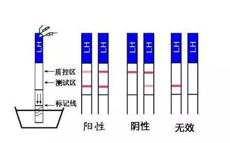 哉阿斯奥特曼2:超人大战·光与影
