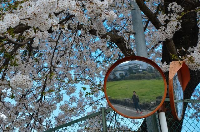 克劳斯:圣诞节的秘密