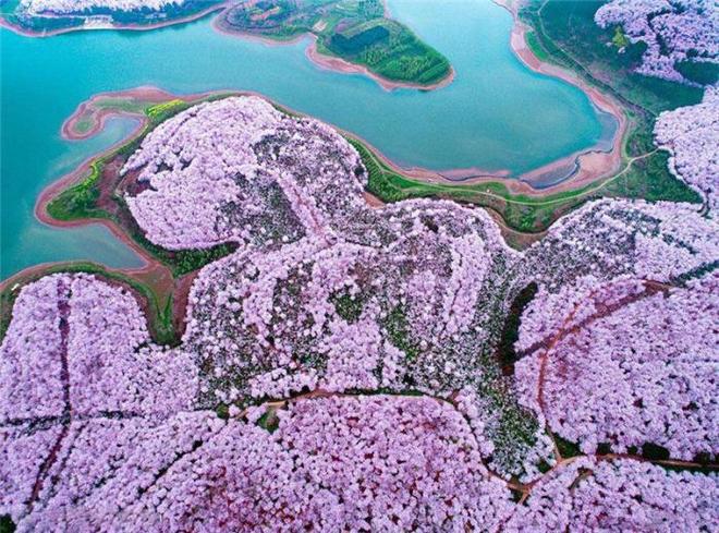 八星报喜1988 普通话版