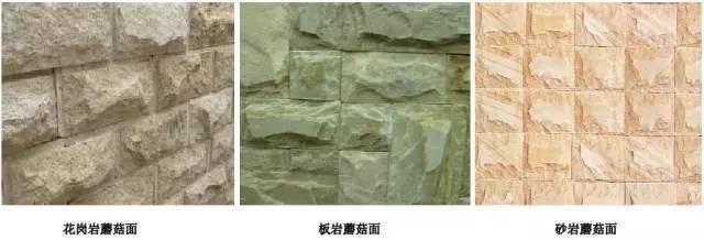 克莱拉与熊的秘密