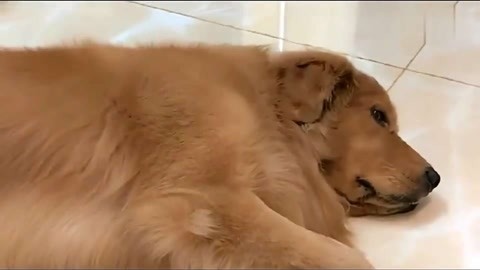 古剑奇谭之伏魔纪