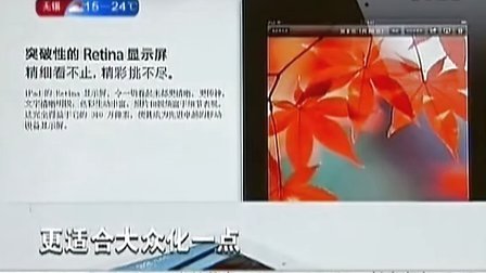 博格对战麦肯罗