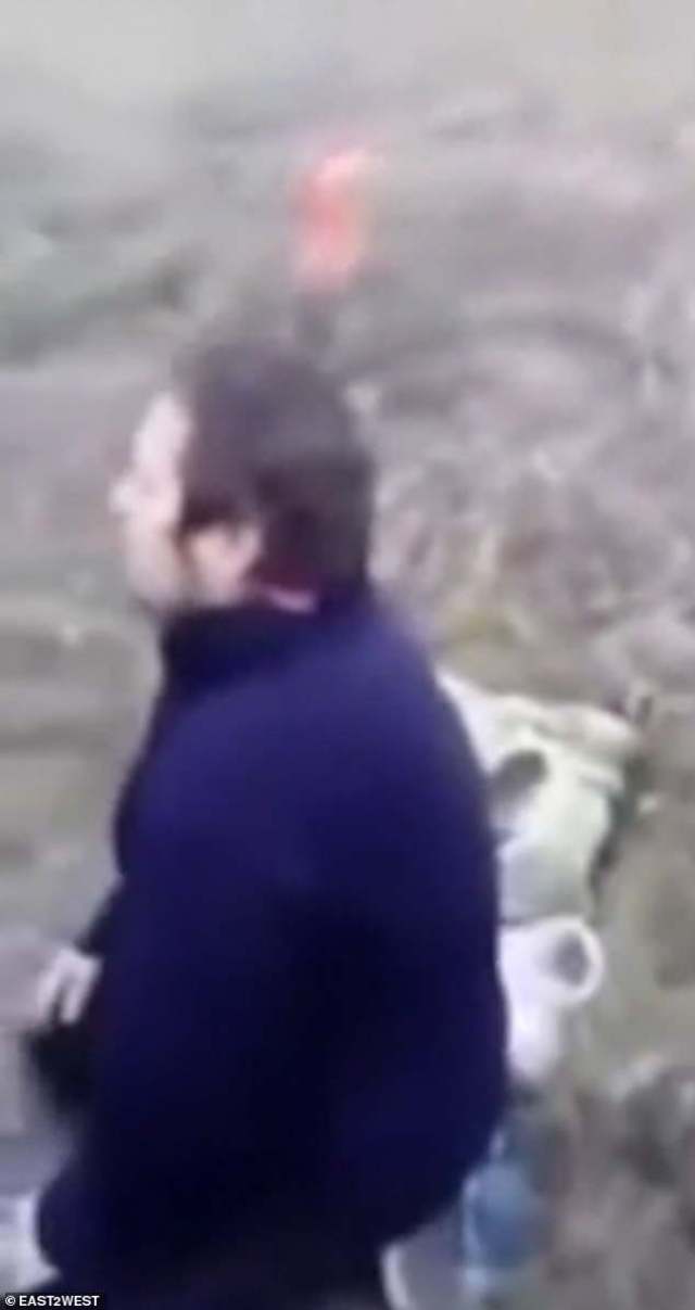 史酷比！毛茸茸的对决