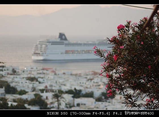 养鬼吃人4：血统