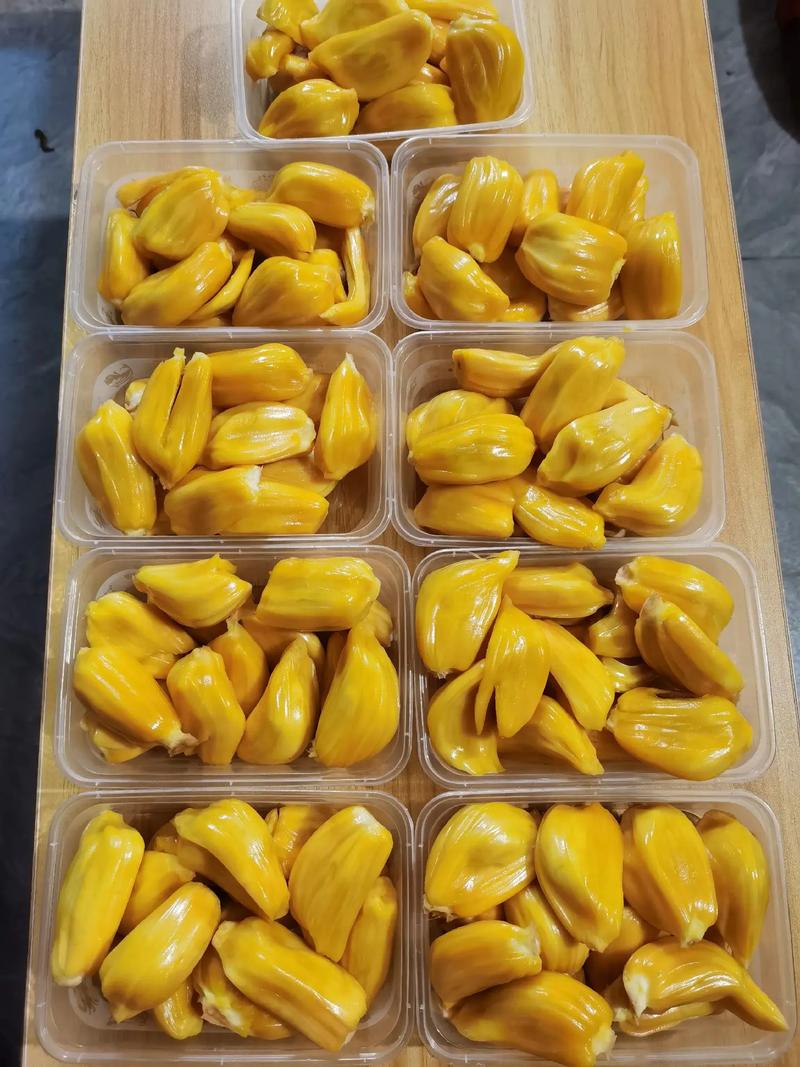 公路战争：狂怒