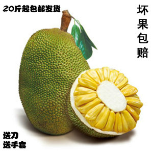 内衣少女（粤语版）