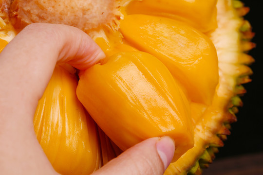 再见美人鱼（上部）