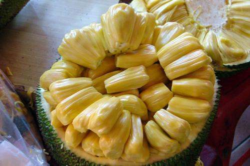 冰雪奇缘2（粤语版）