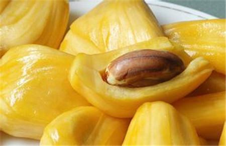 兴安岭猎人传说2