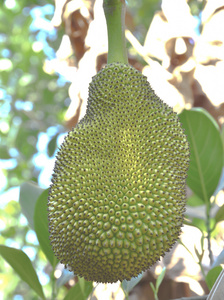 关于我母亲的一切